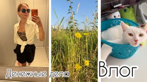 Возвращаюсь в будни / Поговорим о деньгах?💰/ Мои доходы и кредиты/ Блогеру стадно просить?