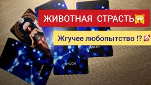 🔥ТЫ АХНЕШЬ! ПОЧЕМУ ОНА НЕ СМОЖЕТ ТЕБЯ ЗАБЫТЬ⁉️💁♀️ТАРО ДЛЯ МУЖЧИН