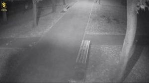 Дерзкая кража в Кишиневе попала на видео
