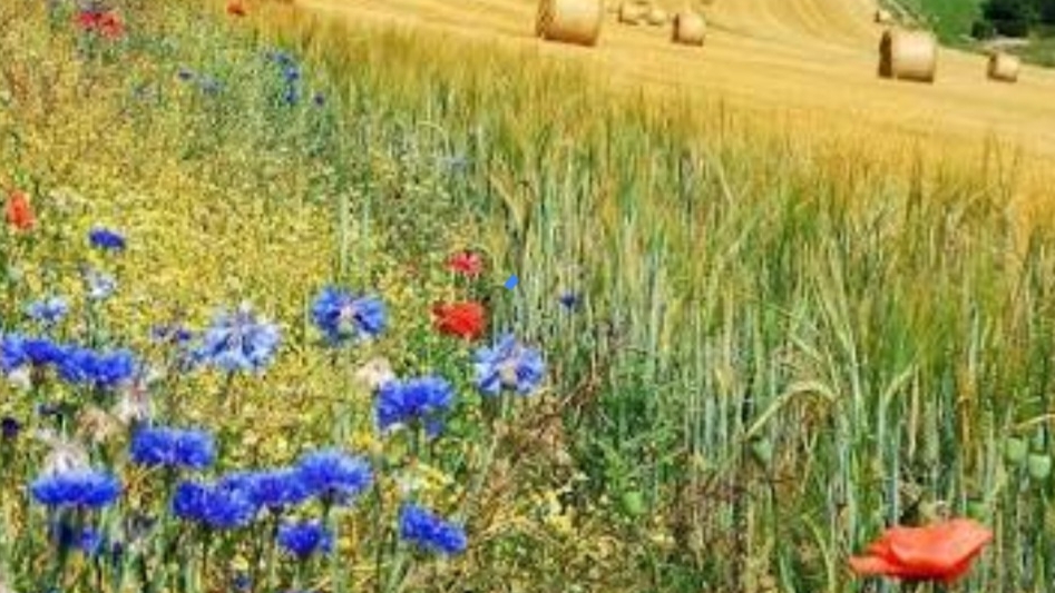 СП Добиваю недовязы 5/2026 Отчёт 28 с Мариной Стоговой