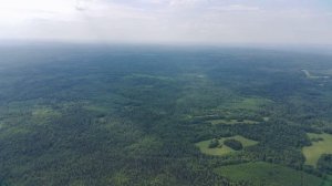 Широково 2026 в качестве