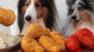 Милые песики едят курицу фри — АСМР мукбанг