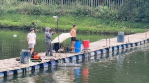 Осетрина с переходного