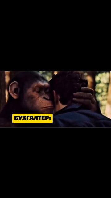 Зашёл в бухгалтерию узнать за аванс