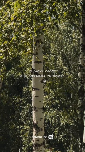 💚 Жизнь глазами жителей «Земля МО»