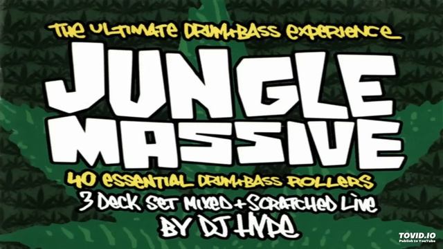 DJ Hype - Jungle Massive CD1