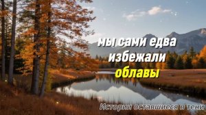 95-летняя ЦЫГАНКА, хранительница табора, увидев новорожденное дитя деревенской ЗНАХАРКИ, замерла…
