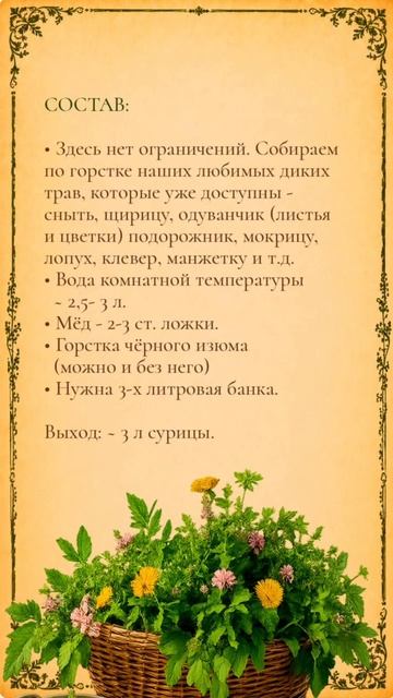 Сурица живой напиток для пищеварения и иммунитета