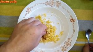 Уловистая насадка на карася весной Рецепт Насадки на крупного карась карп лещ по холодной воде