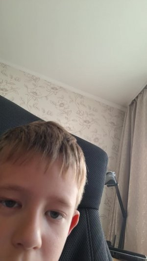 играем в больницу для животных