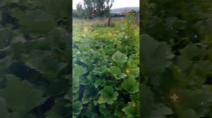 Родственные души. Это и родственники, и друзья, и ангелы-хранители. Песня взята с просторов  интерне