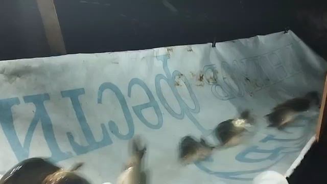 1000050292.mp4