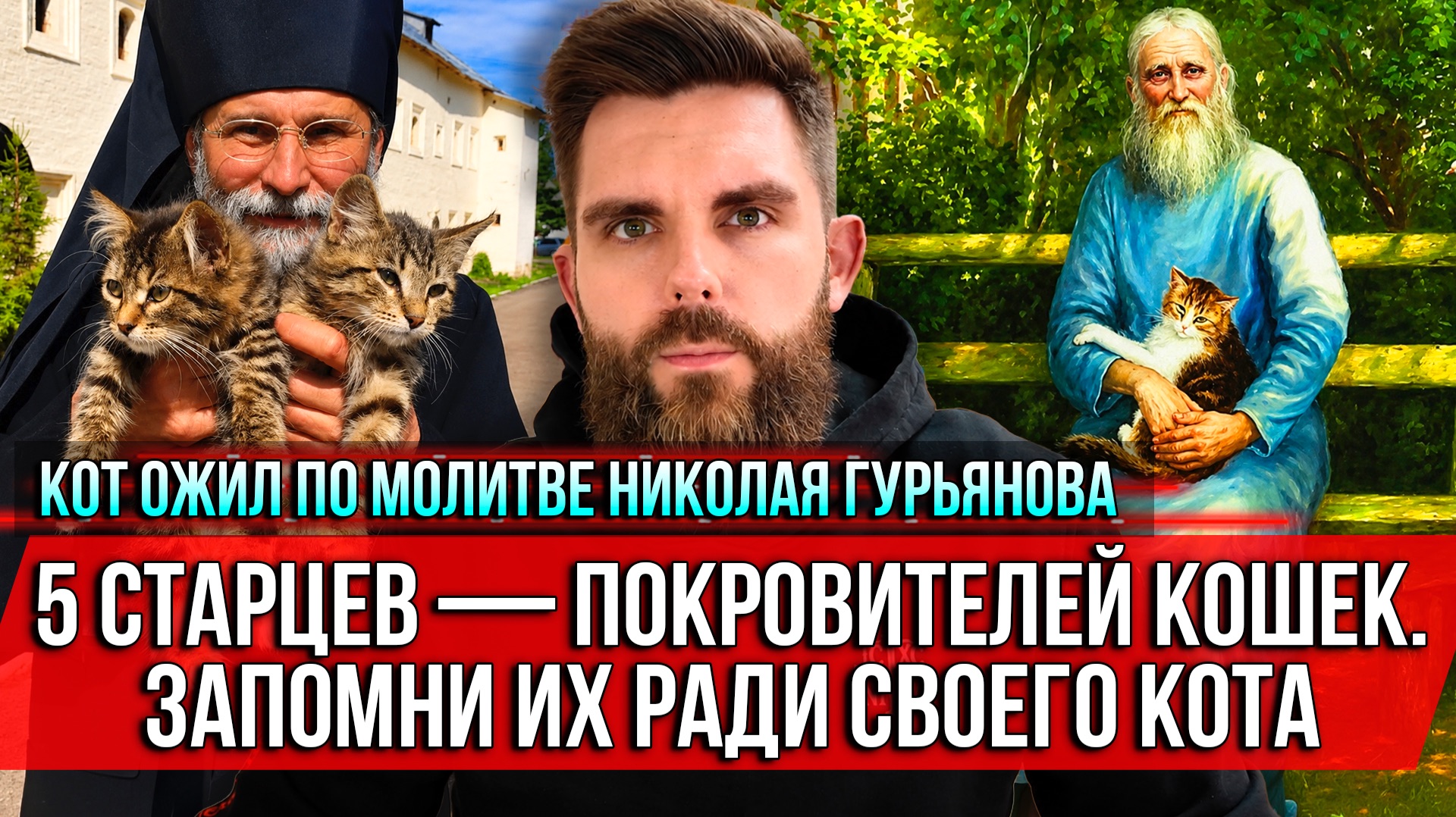 Кот ожил по молитве Николая Гурьянова. 5 старцев  покровителей кошек. Запомни их ради своего кота