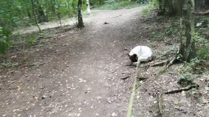 Мы со Стичем теперь на Вк