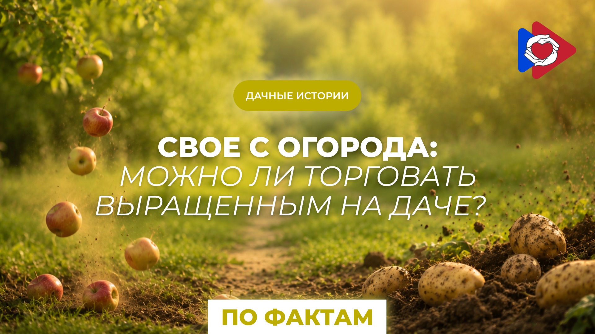 Дачные истории! Свое с огорода: можно ли торговать выращенным на даче?