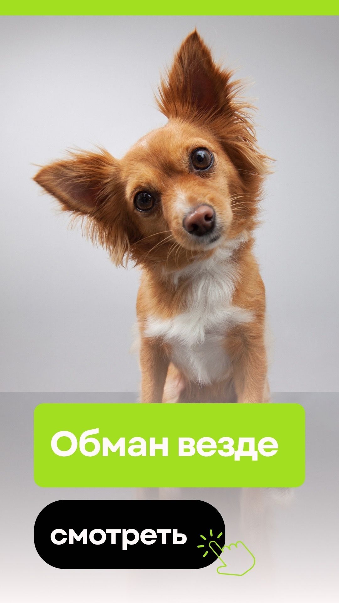 Как распознать обман?