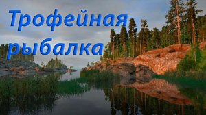 Русская Рыбалка 4 / РР4 Ладожское озеро / Трофейная рыбалка