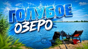 ФИДЕРНАЯ РЫБАЛКА НА ЛЕЩА НА ГОЛУБОМ ОЗЕРЕ. РЫБАЛКА ФИДЕРОМ ЛЕТОМ. СТАРО-НОВОЕ МЕСТО С ПРИЧУДАМИ.