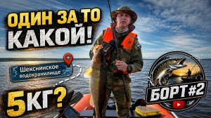 Что мы вытащили в первый раз? Смотрите до конца!