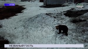 НОВОСТИ СЕВЕРНОГО ГОРОДА, 06.08.2026
