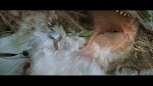 КРОКОДИЛ ДАНДИ 1-2