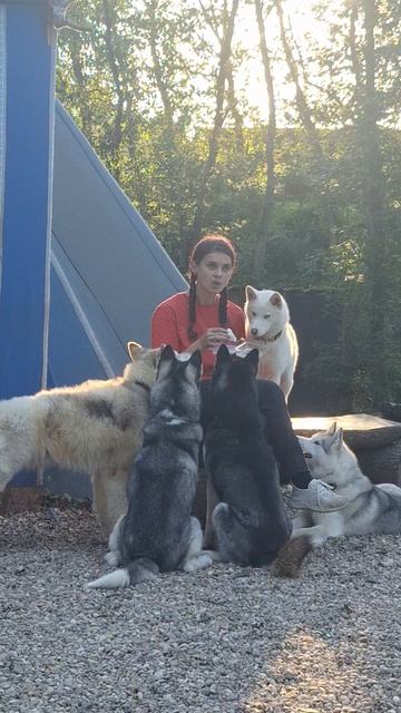 Dog)))