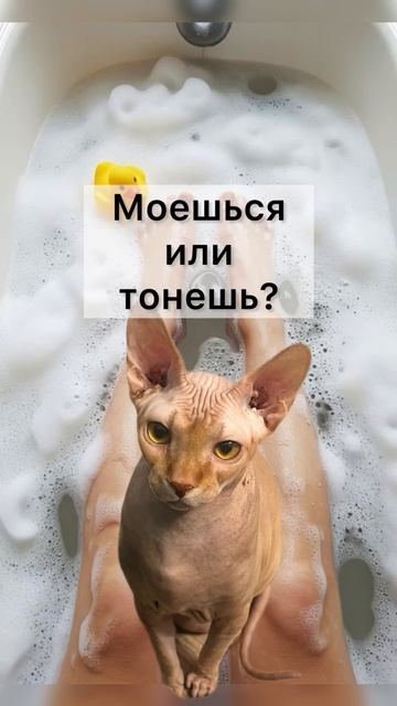 Ходит по пятам