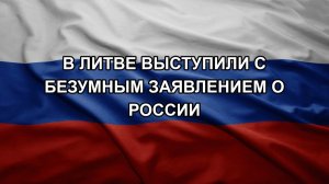 В Литве выступили с безумным заявлением о России