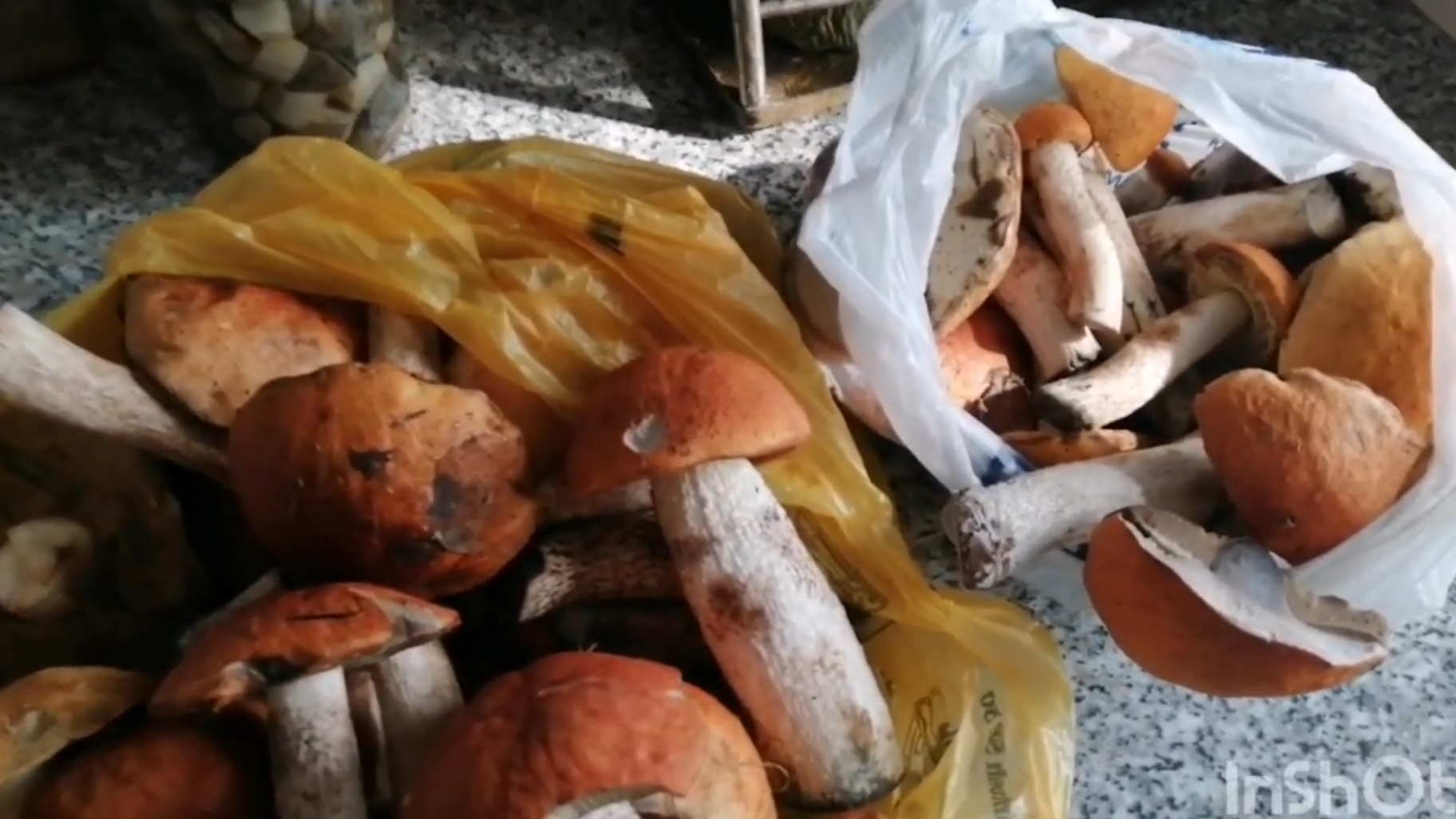 Хрустящие маринованные грибочки,рецепт,проверенный временем !