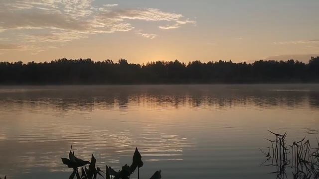 1000050290.mp4