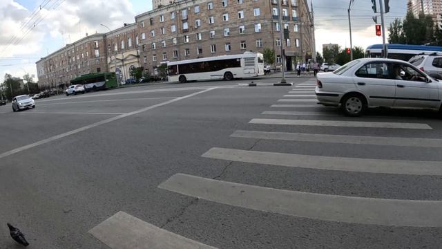 сосновый бор