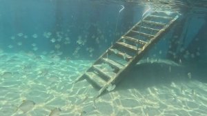 Seven Seas Jolie Bay. Водные развлечения на пляже.