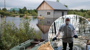 Около тонны мертвой рыбы собрано на берегах реки Тура в Тюмени