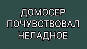 Почему МИТЕ  делается дурно?!
