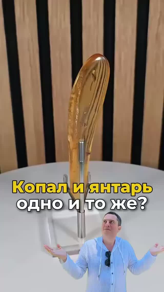 Копал и янтарь – одно и то же?