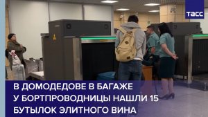 В Домодедове в багаже у бортпроводницы нашли 15 бутылок элитного вина