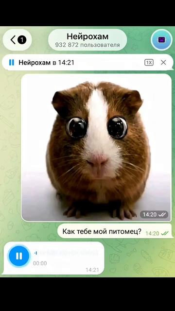 Нейрохам