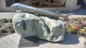 Азовское море станица Должнаская