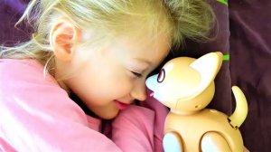 Супер Полина Утренние рутины с домашними животными CUTESY PETS