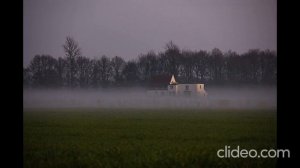 В какой категории ты?
