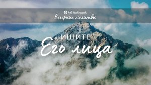 ИЩИТЕ ЕГО ЛИЦА | Вечерние размышления