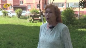 ЖИТЕЛЬНИЦА ЖЕЛЕЗНОГОРСКА ПРОСИТ ВЫСАДИТЬ НОВЫЕ ДЕРЕВЬЯ И КУСТАРНИКИ НА МЕСТЕ СПИЛЕННЫХ РАНЕЕ