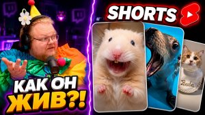 ХОМЯКИ — БИОЛОГИЧЕСКИЕ СМЕРТНИКИ?! ► T2x2 СМОТРИТ СТРАННЫЕ YOUTUBE SHORTS