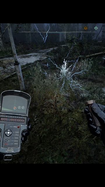 S.T.A.L.K.E.R. 2: Артефакт АРФА