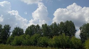 Вид из окна машины 👍😀🤩