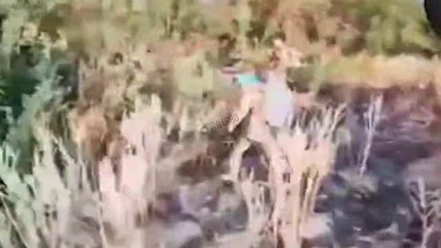 ‼️🇷🇺🇺🇦 Как дроноводы «Центра» массово ликвидируют вражескую пехоту !!!