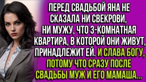Перед свадьбой Яна не сказала ни свекрови, ни мужу, что 3-комнатная квартира, принадлежит ей