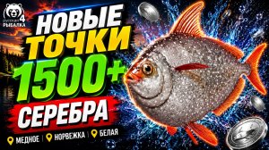 🤑 ТОП-3 ТОЧКИ ФАРМА и РАЗДАЧИ ТРОФОВ РР4 (06.08)! СВОДКА по ВОДОЕМАМ! МЕДНОЕ • НОРВЕЖКА • БЕЛАЯ
