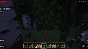 minecraft  часть 1