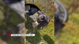 В Муйском районе в реку опрокинулся грузовик